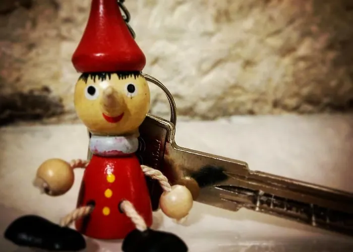 Tatil Evi Picchio&pinocchio *