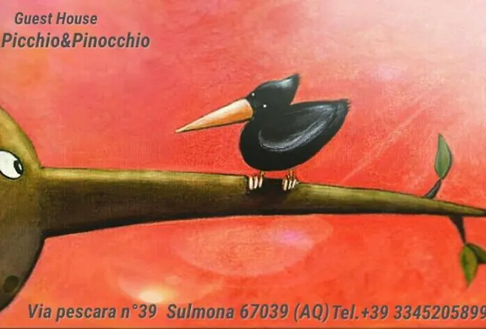 Tatil Evi Picchio&pinocchio